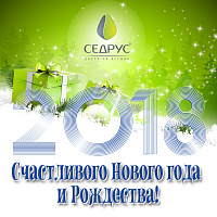 С Новым 2018 годом!